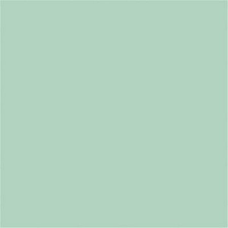 TRU-COLOR PAINT 1 oz Paint, Pale Teal Stucco TCP419